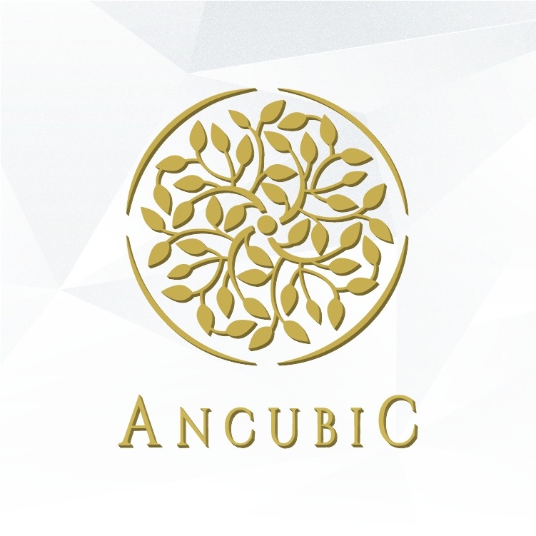 ANCUBIC